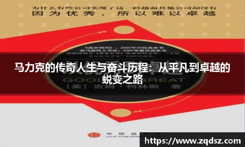 马力克的传奇人生与奋斗历程：从平凡到卓越的蜕变之路